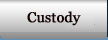 Custody Section | Divorce Attorney